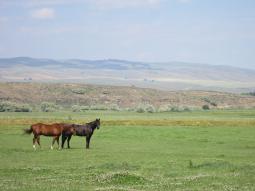 image_648d3ed81c3aa1_84879599.JPG