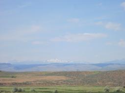 image_648d3ed81cc672_25709479.JPG