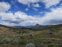 image_6491321723c2b3_59639640.JPG