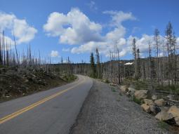 image_6493ef78c8ca80_26076882.JPG