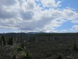 image_6493f0ea982c90_88457888.JPG
