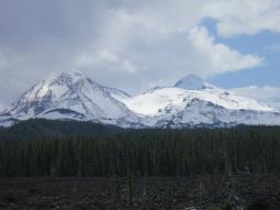 image_6493f0ea988db7_30444554.JPG