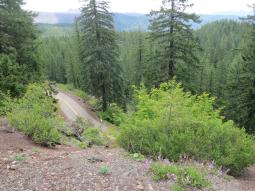 image_6493f0ea9bc321_40788481.JPG