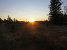 image_6493f135a424d1_30159938.JPG