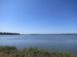 image_64952b99dfcd04_55509599.JPG