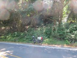 image_64952b99e16524_66573996.JPG