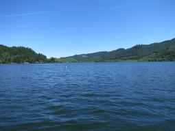 image_64952b99e21246_96362805.JPG