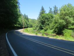 image_64952b99e310d2_32168856.JPG