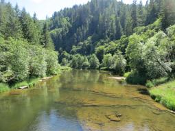 image_64952bd41b72c7_66704488.JPG