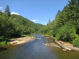 image_64952bd41c4f72_05062352.JPG