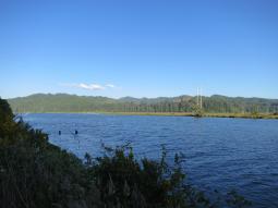 image_64952bd41fc118_78432228.JPG