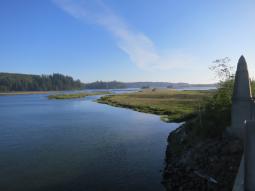 image_64952c04d37f70_34789686.JPG