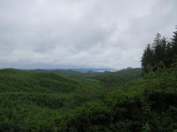 image_6497ccb8a14736_91761268.JPG