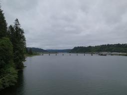 image_6497ccb8a316c3_86616313.JPG