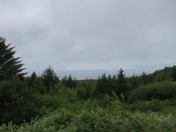 image_6497ccb8a374b7_57601509.JPG