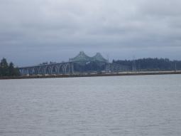 image_6497ccfaeb2781_96679579.JPG