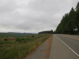 image_6497ccfaebf1c4_06666052.JPG