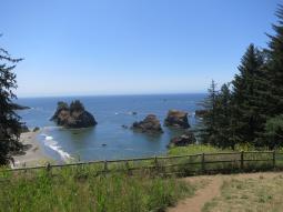 image_6499216aee3c23_72518999.JPG