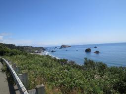 image_649921a07c7b99_60886838.JPG