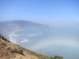 image_64a3b795e35324_51842879.JPG