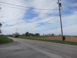 image_6439de175eb469_35848859.JPG