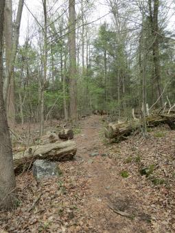 image_643c9c564835c2_33828674.JPG