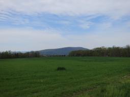 image_643c9c564a13e2_33633867.JPG
