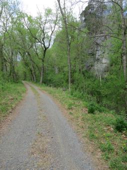 image_643de7f3a21667_27870878.JPG