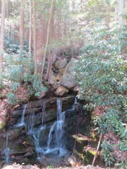 image_6442030bc9f285_83221804.JPG