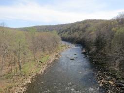 image_6442030bcc6866_73973632.JPG