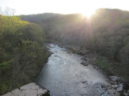 image_6442033d316343_62766269.JPG