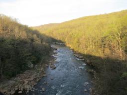 image_6442033d32cc98_86802511.JPG