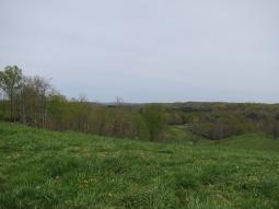 image_644b3374c91f74_15577773.JPG
