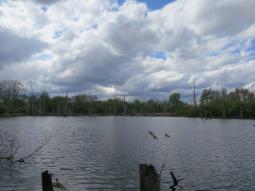 image_644f03ab3ab754_81683907.JPG