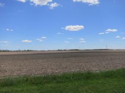 image_64545e72c93744_38158269.JPG
