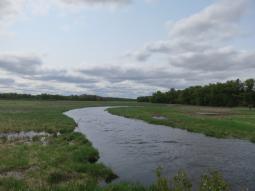 image_64682a9d15e0c8_36468174.JPG