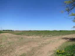 image_646989b8ecaed6_87717392.JPG