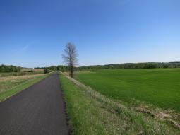 image_646989cd5f60e7_14799689.JPG