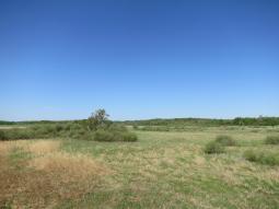 image_646989cd5fe055_58738294.JPG