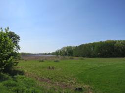 image_646989e0bced77_94169372.JPG