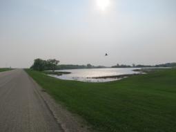 image_646d7d41a74e43_96611090.JPG