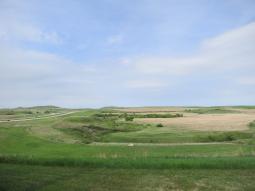 image_64743fa89c4847_29710242.JPG
