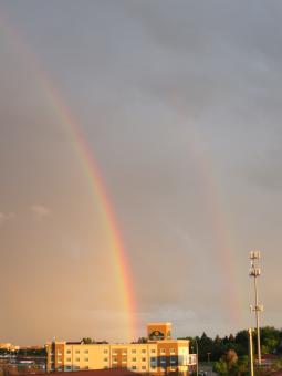 image_6475646089cf43_53210304.JPG