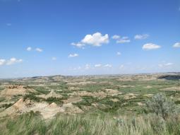 image_6476de385470f7_50958951.JPG
