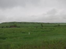 image_647bfb61759fb9_22445832.JPG