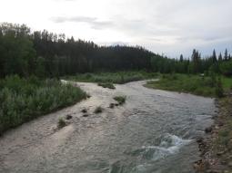image_64816b0b587231_21285730.JPG