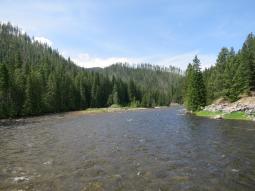 image_6487f4f9441a56_06858377.JPG