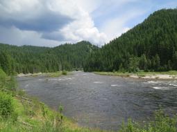 image_6487f4f945cc45_38734062.JPG