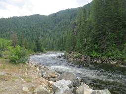 image_6487f52b88b3d1_93281649.JPG