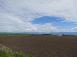 image_6487f41a94ada9_90697639.JPG